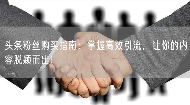 头条粉丝购买指南：掌握高效引流，让你的内容脱颖而出！